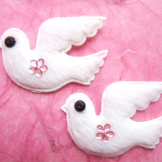 Applicatie Dieren Duif