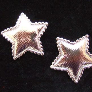 Applicatie sterretjes Kerst