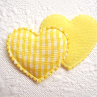 Applicatie hartjes geruit