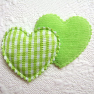 Applicatie hartjes geruit