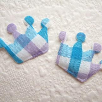 Applicaties Kroontjes Koningsdag