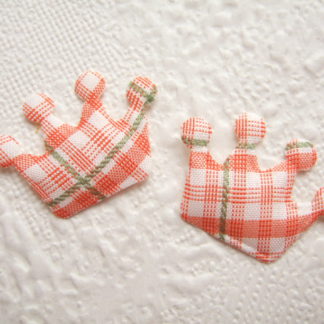 Applicaties Kroontjes Koningsdag