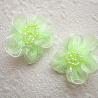 Roosjes bloemen organza