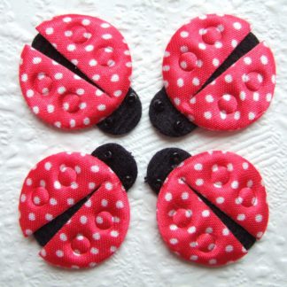 Applicatie Applicatie lieveheersbeestje