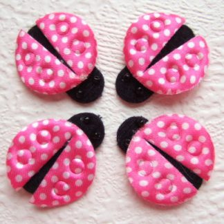 Applicatie Applicatie lieveheersbeestje