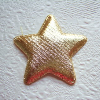 Applicatie sterretjes Kerst