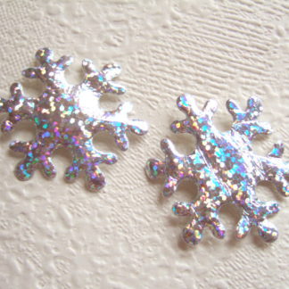 Applicatie Kerst sneeuw