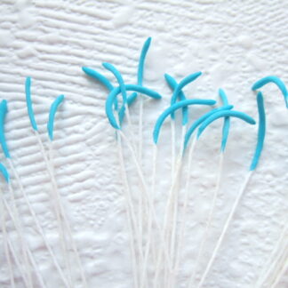 Vlinder antenne voelspriet