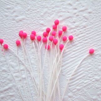 Vlinder antenne voelspriet