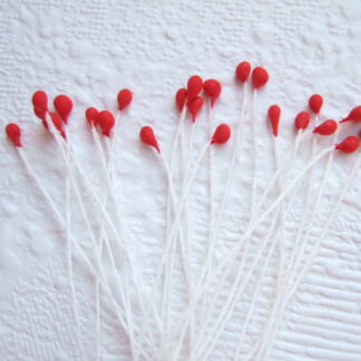 Vlinder antenne voelspriet