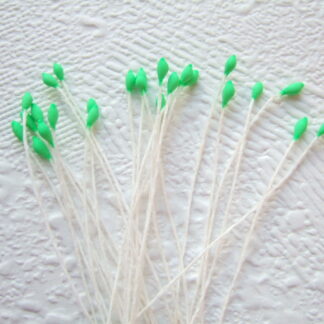 Vlinder antenne voelspriet