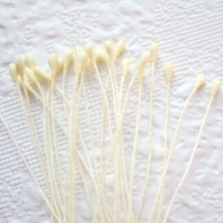 Vlinder antenne voelspriet