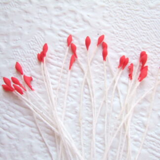 Vlinder antenne voelspriet