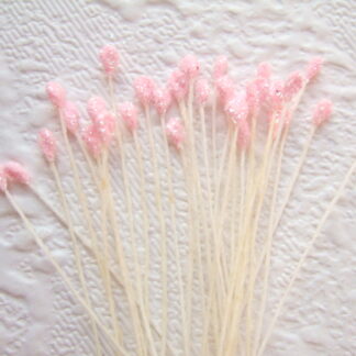 Vlinder antenne voelspriet