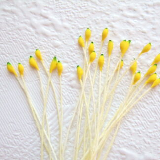 Vlinder antenne voelspriet