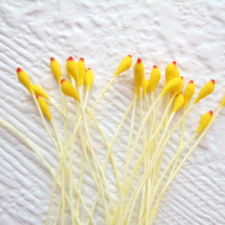 Vlinder antenne voelspriet